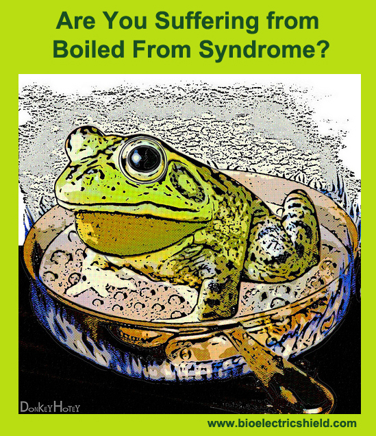 Boiled Frog - by DonkeyHotey - FlickrTitle Electrosensitivity and Boiled Frog Syndrome
