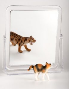 Cat looks in mirror and sees tiger
